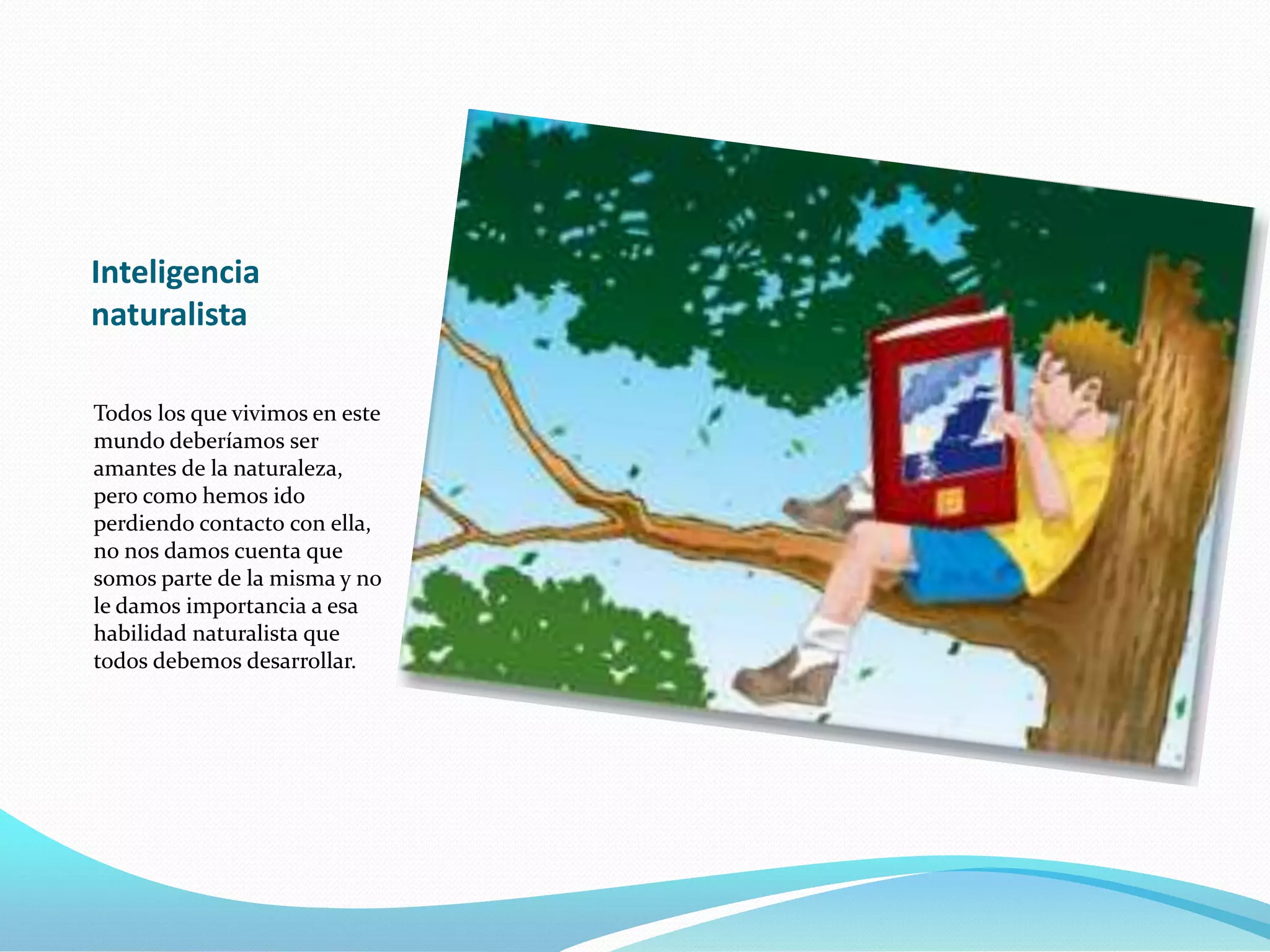 Inteligencia
naturalista

Todos los que vivimos en este
mundo deberíamos ser
amantes de la naturaleza,
pero como hemos ido
perdiendo contacto con ella,
no nos damos cuenta que
somos parte de la misma y no
le damos importancia a esa
habilidad naturalista que
todos debemos desarrollar.
 