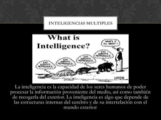 INTELIGENCIAS MULTIPLES




   La inteligencia es la capacidad de los seres humanos de poder
procesar la información proveniente del medio, así como también
 de recogerla del exterior. La inteligencia es algo que depende de
  las estructuras internas del cerebro y de su interrelación con el
                           mundo exterior.
 