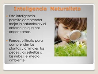 Inteligencia Naturalista
   Esta inteligencia
    permite comprender
    mejor la naturaleza y el
    entorno en que nos
    encontramos.

   Puedes utilizarla para
    comprender las
    plantas y animales, los
    peces , las estrellas o
    las nubes, el medio
    ambiente.
 