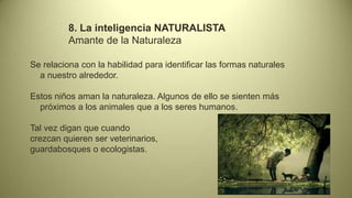 8. La inteligencia NATURALISTA
          Amante de la Naturaleza

Se relaciona con la habilidad para identificar las formas naturales
  a nuestro alrededor.

Estos niños aman la naturaleza. Algunos de ello se sienten más
  próximos a los animales que a los seres humanos.

Tal vez digan que cuando
crezcan quieren ser veterinarios,
guardabosques o ecologistas.
 
