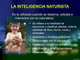 Es la utilizada cuando se observa, estudia e
interactúa con la naturaleza.
 Se refiere a la habilidad de
reconocer y clasificar plantas, toda la
variedad de flora, fauna, rocas y
minerales
 Adaptarse a diversos ambientes
 Relacionarse con la naturaleza
 Manifestar conciencia ambiental
 Identificarse y amar la naturaleza
 Observar e investigar

 