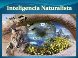 Inteligencia Naturalista

 