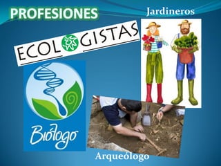 Jardineros

Arqueólogo

 