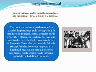 Inteligencia musical 
Resulta evidente en los individuos sensibles 
a la melodía, al ritmo, al tono y a la armonía. 
Ciertas áreas del cerebro desempeñan 
papeles importantes en la percepción y la 
producción musical. Estas, situadas por lo 
general en el hemisferio derecho, no están 
localizadas con claridad como sucede con 
el lenguaje. Sin embargo, pese a la falta de 
susceptibilidad concreta respecto a la 
habilidad musical en caso de lesiones 
cerebrales, existe evidencia de "amusia" 
(pérdida de habilidad musical). 
 
