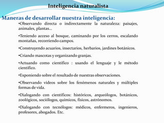 Inteligencia naturalista 
Maneras de desarrollar nuestra inteligencia: 
•Observando directa o indirectamente la naturaleza: paisajes, 
animales, plantas… 
•Teniendo acceso al bosque, caminando por los cerros, escalando 
montañas, recorriendo campos. 
•Construyendo acuarios, insectarios, herbarios, jardines botánicos. 
•Criando mascotas y organizando granjas. 
•Actuando como científico : usando el lenguaje y le método 
científico. 
•Exponiendo sobre el resultado de nuestras observaciones. 
•Observando vídeos sobre los fenómenos naturales y múltiples 
formas de vida. 
•Dialogando con científicos: históricos, arqueólogos, botánicos, 
zoológicos, sociólogos, químicos, físicos, astrónomos. 
•Dialogando con tecnólogos: médicos, enfermeros, ingenieros, 
profesores, abogados. Etc. 
 