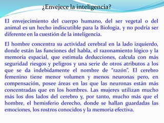 ¿Envejece la inteligencia? 
El envejecimiento del cuerpo humano, del ser vegetal o del 
animal es un hecho indiscutible para la Biología, y no podría ser 
diferente en la cuestión de la inteligencia. 
El hombre concentra su actividad cerebral en la lado izquierdo, 
donde están las funciones del habla, el razonamiento lógico y la 
memoria espacial, que estimula deducciones, calcula con más 
seguridad riesgos y peligros y una serie de otros atributos a los 
que se da indebidamente el nombre de “razón”. El cerebro 
femenino tiene menor volumen y menos neuronas pero, en 
compensación, posee áreas en las que las neuronas están más 
concentradas que en los hombres. Las mujeres utilizan mucho 
más los dos lados del cerebro y, por tanto, mucho más que el 
hombre, el hemisferio derecho, donde se hallan guardadas las 
emociones, los rostros conocidos y la memoria efectiva. 
 