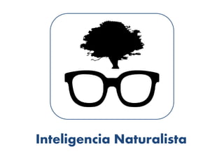 Inteligencia Naturalista
 