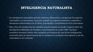 INTELIGENCIA NATURALISTA
• La inteligencia naturalista permite detectar, diferenciar y categorizar los aspectos
vinculados a la naturaleza, como por ejemplo las especies animales y vegetales o
fenómenos relacionados con el clima, la geografía o los fenómenos de la naturaleza.
• Esta clase de inteligencia fue añadida posteriormente al estudio original sobre las
Inteligencias Múltiples de Gardner, concretamente en el año 1995. Gardner
consideró necesario incluir esta categoría por tratarse de una de las inteligencias
esenciales para la supervivencia del ser humano (o cualquier otra especie) y que ha
redundado en la evolución.
 