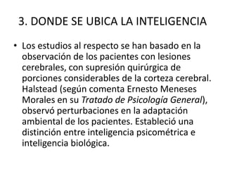 3. DONDE SE UBICA LA INTELIGENCIA
• Los estudios al respecto se han basado en la
  observación de los pacientes con lesiones
  cerebrales, con supresión quirúrgica de
  porciones considerables de la corteza cerebral.
  Halstead (según comenta Ernesto Meneses
  Morales en su Tratado de Psicología General),
  observó perturbaciones en la adaptación
  ambiental de los pacientes. Estableció una
  distinción entre inteligencia psicométrica e
  inteligencia biológica.
 