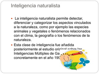Inteligencia naturalista
 La inteligencia naturalista permite detectar,
diferenciar y categorizar los aspectos vinculados
a la naturaleza, como por ejemplo las especies
animales y vegetales o fenómenos relacionados
con el clima, la geografía o los fenómenos de la
naturaleza.
 Esta clase de inteligencia fue añadida
posteriormente al estudio original sobre las
Inteligencias Múltiples de Gardner,
concretamente en el año 1995.
 