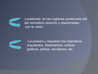 La poseen y requieren los ingenieros,  arquitectos, diseñadores, artistas gráficos, pilotos, escultores, etc - Localizada  en las regiones posteriores del  del hemisferio derecho y relacionadas con la visión 