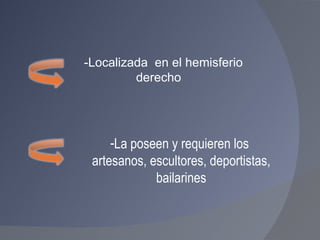 La poseen y requieren los  artesanos, escultores, deportistas, bailarines -Localizada  en el hemisferio  derecho 