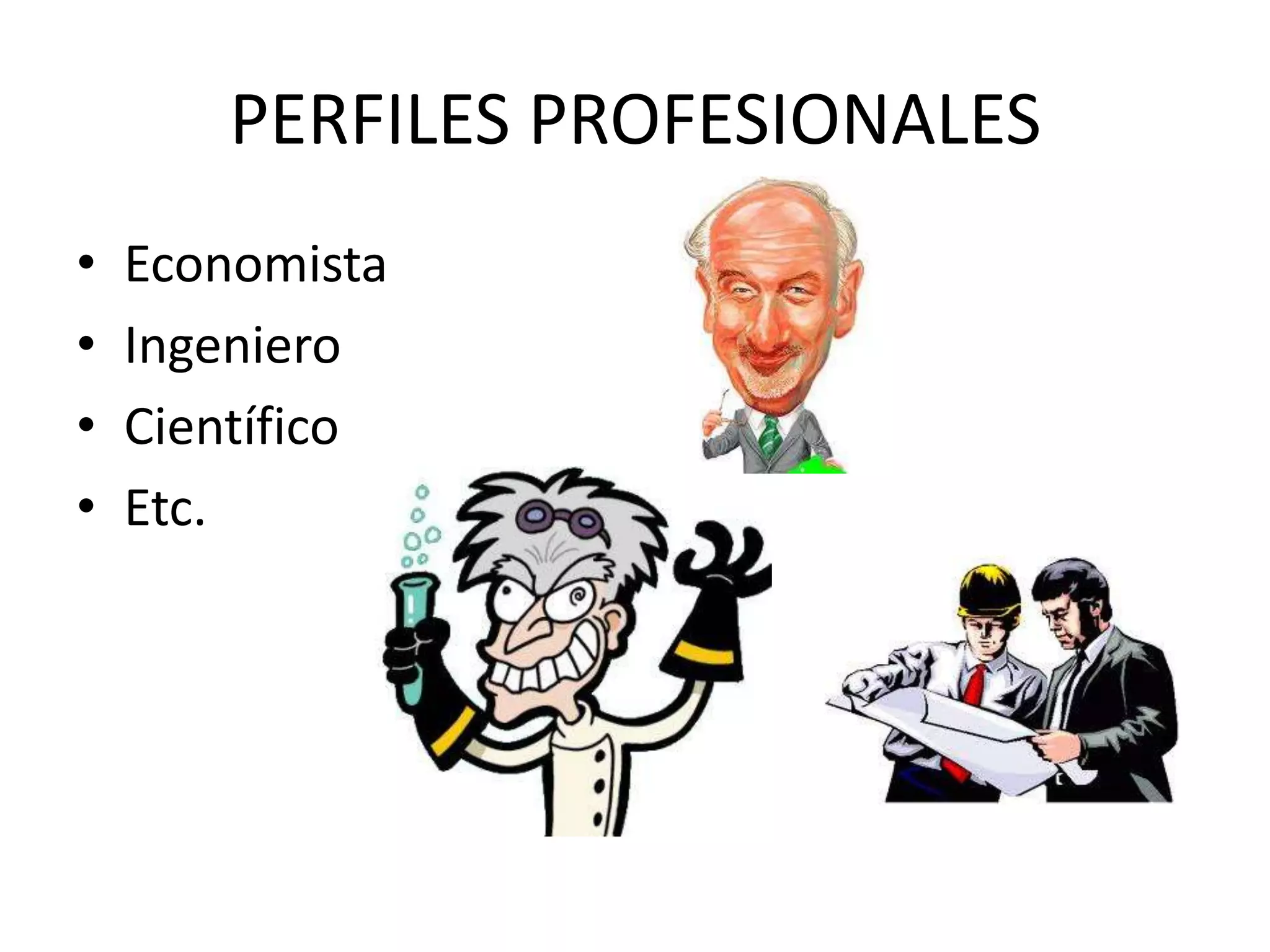 PERFILES PROFESIONALESEconomistaIngenieroCientíficoEtc.