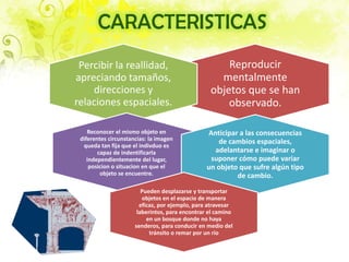 CARACTERISTICAS