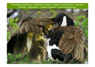 Estratègies didàctiques: -Reflexions crítiques -Diàlegs. -Negociacions. -Resoldre
       conflictes. -Mediacions. -Treball cooperatiu. -Jocs de simulacions.
 