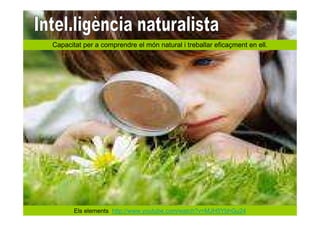 Capacitat per a comprendre el món natural i treballar eficaçment en ell.




       Els elements http://www.youtube.com/watch?v=MJH5YbhGu24
 