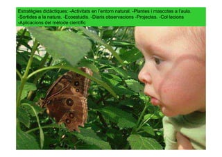 Estratègies didàctiques: -Activitats en l’entorn natural. -Plantes i mascotes a l’aula.
-Sortides a la natura. -Ecoestudis. -Diaris observacions -Projectes. -Col·lecions
-Aplicacions del mètode científic
 