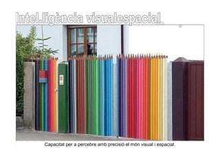 Capacitat per a percebre amb precisió el món visual i espacial.
 
