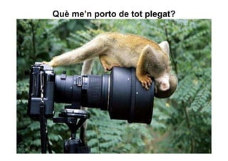 Què me’n porto de tot plegat?
 