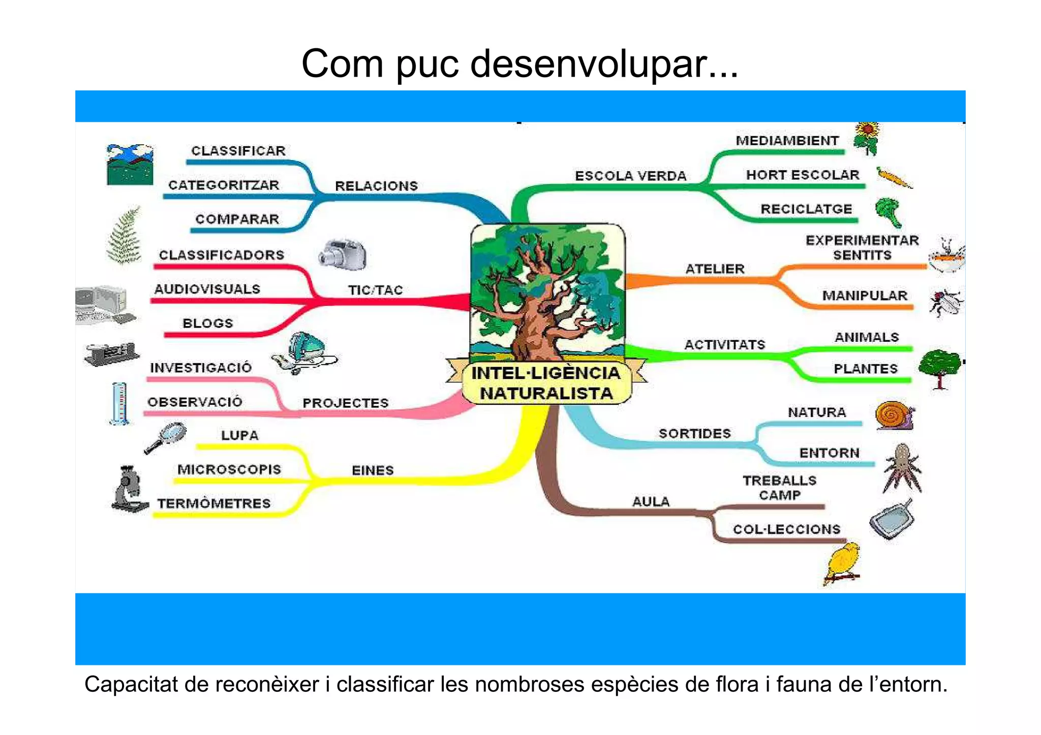 Com puc desenvolupar...




Capacitat de reconèixer i classificar les nombroses espècies de flora i fauna de l’entorn.
 
