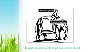 Tu cerebro cognitivo debe dirigir tu cerebro emocional
 