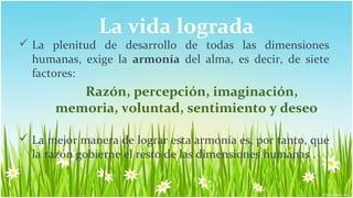 La vida lograda
 La plenitud de desarrollo de todas las dimensiones
  humanas, exige la armonía del alma, es decir, de siete
  factores:
         Razón, percepción, imaginación,
      memoria, voluntad, sentimiento y deseo.

 La mejor manera de lograr esta armonía es, por tanto, que
  la razón gobierne el resto de las dimensiones humanas .
 