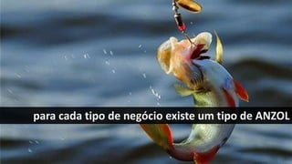 para cada tipo de negócio existe um tipo de ANZOL
 