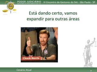 20 
IV Encontro de Gestores do SAJ -São Paulo -SP 
CenárioAtual 
Estádandocerto, vamosexpandirpara outrasáreas  