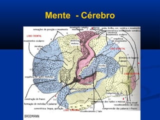 Mente - Cérebro
 