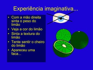 Experiência imaginativa... Com a mão direita sinta o peso do limão Veja a cor do limão Sinta a textura do limão Tente sentir o cheiro do limão Apareceu uma faca... 