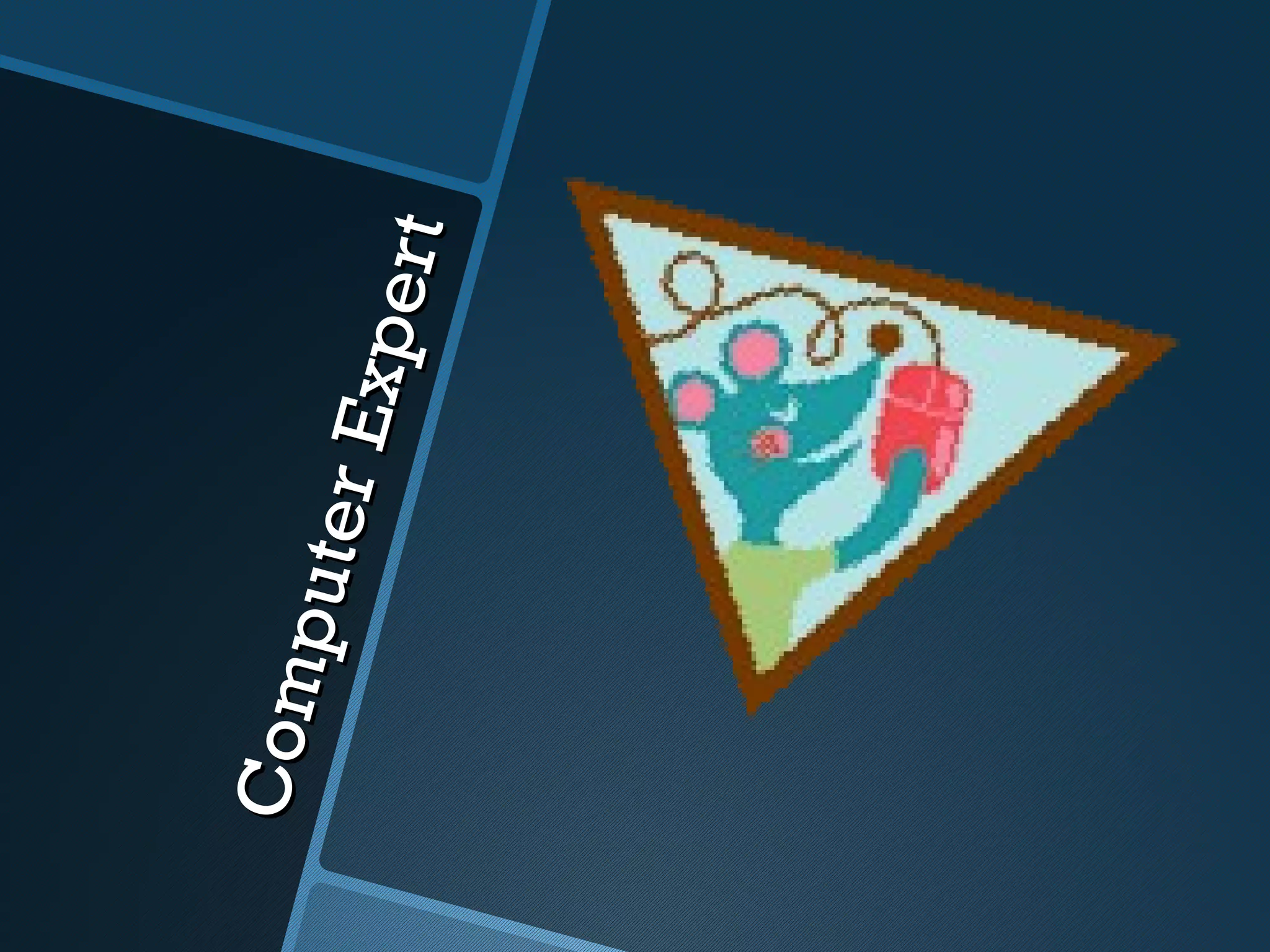 Co m
    pu te
         r E xp
               e rt
 