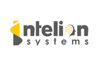 Intelion Systems.pdf