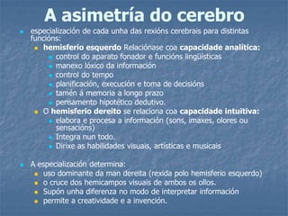 A asimetría do cerebro
 especialización de cada unha das rexións cerebrais para distintas
funcións:
 hemisferio esquerdo Relaciónase coa capacidade analítica:
 control do aparato fonador e funcións lingüísticas
 manexo lóxico da información
 control do tempo
 planificación, execución e toma de decisións
 tamén á memoria a longo prazo
 pensamento hipotético dedutivo.
 O hemisferio dereito se relaciona coa capacidade intuitiva:
 elabora e procesa a información (sons, imaxes, olores ou
sensacións)
 Integra nun todo.
 Dirixe as habilidades visuais, artísticas e musicais
 A especialización determina:
 uso dominante da man dereita (rexida polo hemisferio esquerdo)
 o cruce dos hemicampos visuais de ambos os ollos.
 Supón unha diferenza no modo de interpretar información
 permite a creatividade e a invención.
 