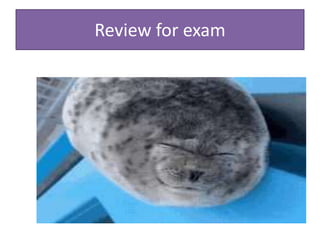 Review for exam
 
