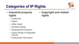 Intellectual Property Rights Overview.pptx