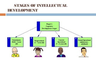 Intellectual (cognitive) development theory of piaget | PPT