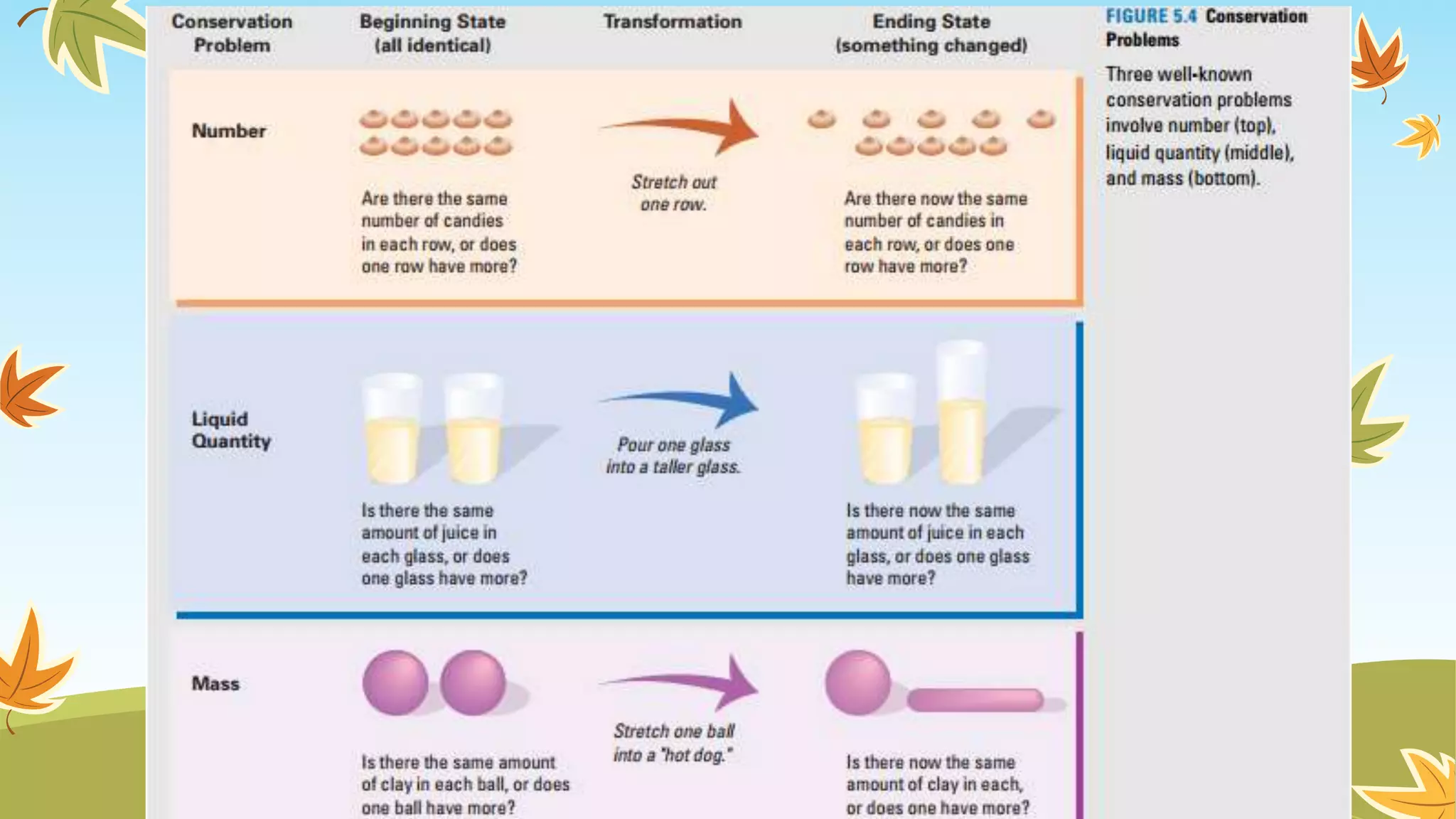  Conservation Problems
Piaget used the term conservation to refer to the concept that
certain basic properties of an object (e.g. volume, mass, and
weight) remain the same even if its physical appearance
changes.
 