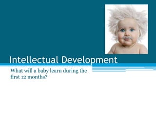 Intellectual Development
What will a baby learn during the
first 12 months?
 