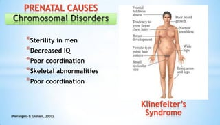 *Sterility in men
*Decreased IQ
*Poor coordination
*Skeletal abnormalities
*Poor coordination
(Pierangelo & Giuliani, 2007)
PRENATAL CAUSES
Klinefelter’s
Syndrome
 