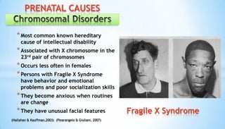 *Most common known hereditary
cause of intellectual disability
*Associated with X chromosome in the
23rd pair of chromosomes
*Occurs less often in females
*Persons with Fragile X Syndrome
have behavior and emotional
problems and poor socialization skills
*They become anxious when routines
are change
*They have unusual facial features Fragile X Syndrome
PRENATAL CAUSES
(Hallahan & Kauffman,2003) (Piearangelo & Giuliani, 2007)
 
