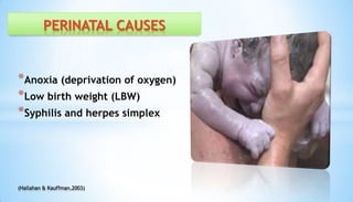 *Anoxia (deprivation of oxygen)
*Low birth weight (LBW)
*Syphilis and herpes simplex
PERINATAL CAUSES
(Hallahan & Kauffman,2003)
 