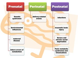 Prenatal
Genetic
syndromes
Environmental
influences
maternal
disease
Inborn errors of
metabolism
Perinatal
delivery-related
events
Postnatal
infections
traumatic brain
injury
Severe and
chronic social
deprivation
Toxic metabolic
syndromes and
intoxications
 