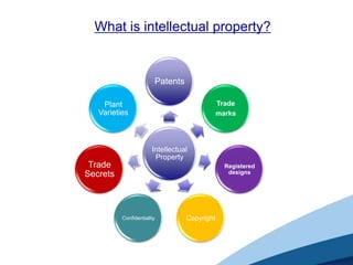 What is intellectual property?


                        Patents

    Plant                                     Trade
   Varieties                                  marks




                       Intellectual
                        Property
 Trade                                          Registered
Secrets                                          designs




          Confidentiality         Copyright
 