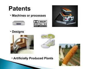 Patents
• Machines or processes
• Designs
• Artificially Produced Plants
 