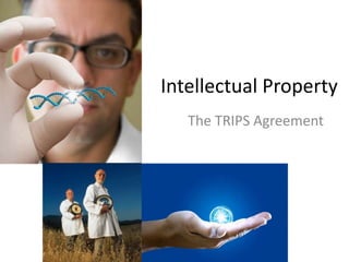 Intellectual Property
   The TRIPS Agreement
 
