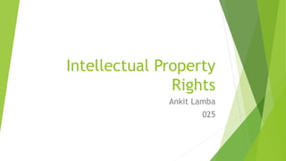 Intellectual Property 
Rights 
Ankit Lamba 
025 
 