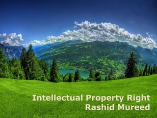 Intellectual Property Right
Rashid Mureed
 