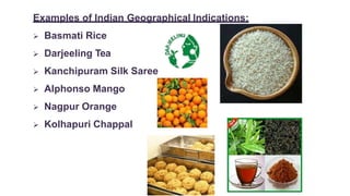 Examples of Indian Geographical Indications:
 Basmati Rice
 Darjeeling Tea
 Kanchipuram Silk Saree
 Alphonso Mango
 Nagpur Orange
 Kolhapuri Chappal
 
