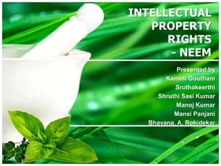 INTELLECTUAL
PROPERTY
RIGHTS
- NEEM
Presented by
Kamini Goutham
Sruthakeerthi
Shruthi Sasi Kumar
Manoj Kumar
Mansi Panjani
Bhavana. A. Rohidekar

 