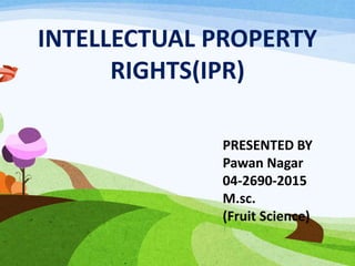 INTELLECTUAL PROPERTY
RIGHTS(IPR)
PRESENTED BY
Pawan Nagar
04-2690-2015
M.sc.
(Fruit Science)
 